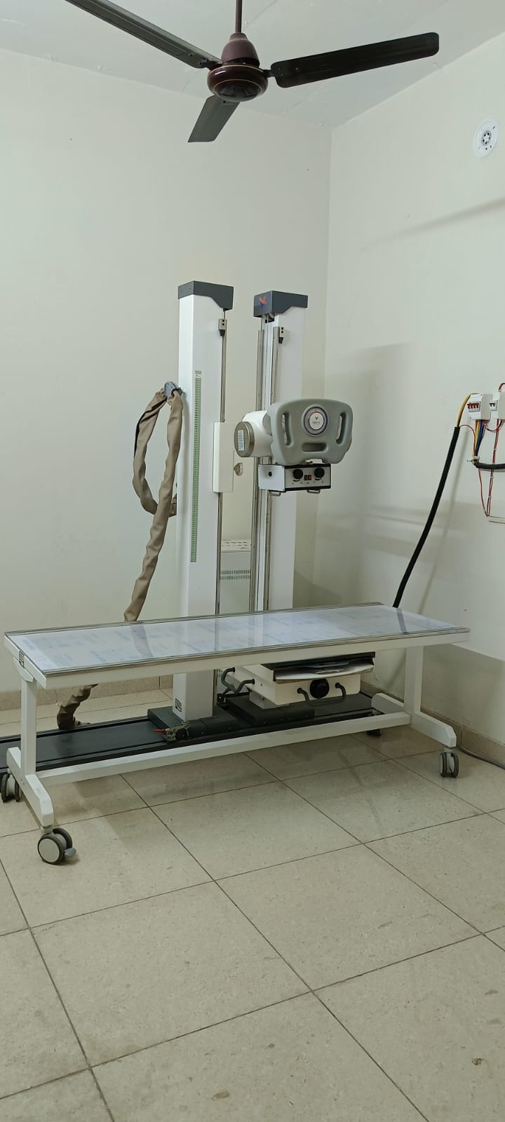 X Ray - Copy